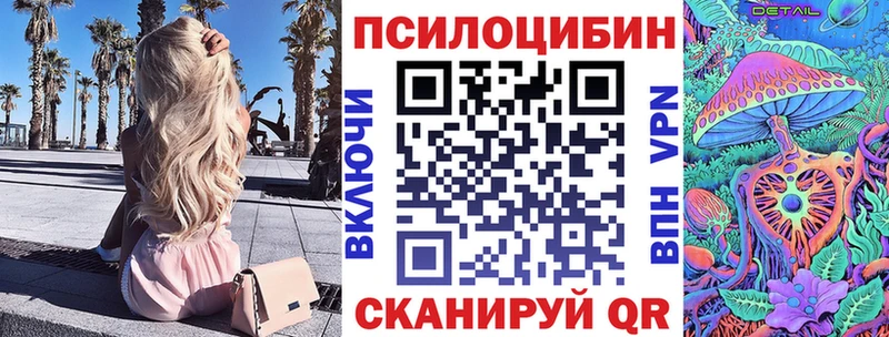 omg как зайти  Владивосток  Псилоцибиновые грибы Cubensis 