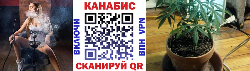 Марихуана OG Kush  Владивосток 